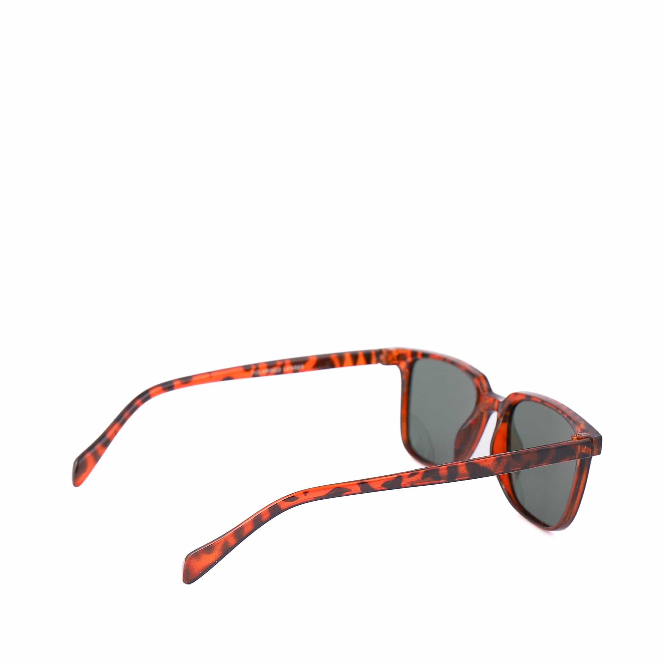 GRAEME Tortoise Shell - Image 2