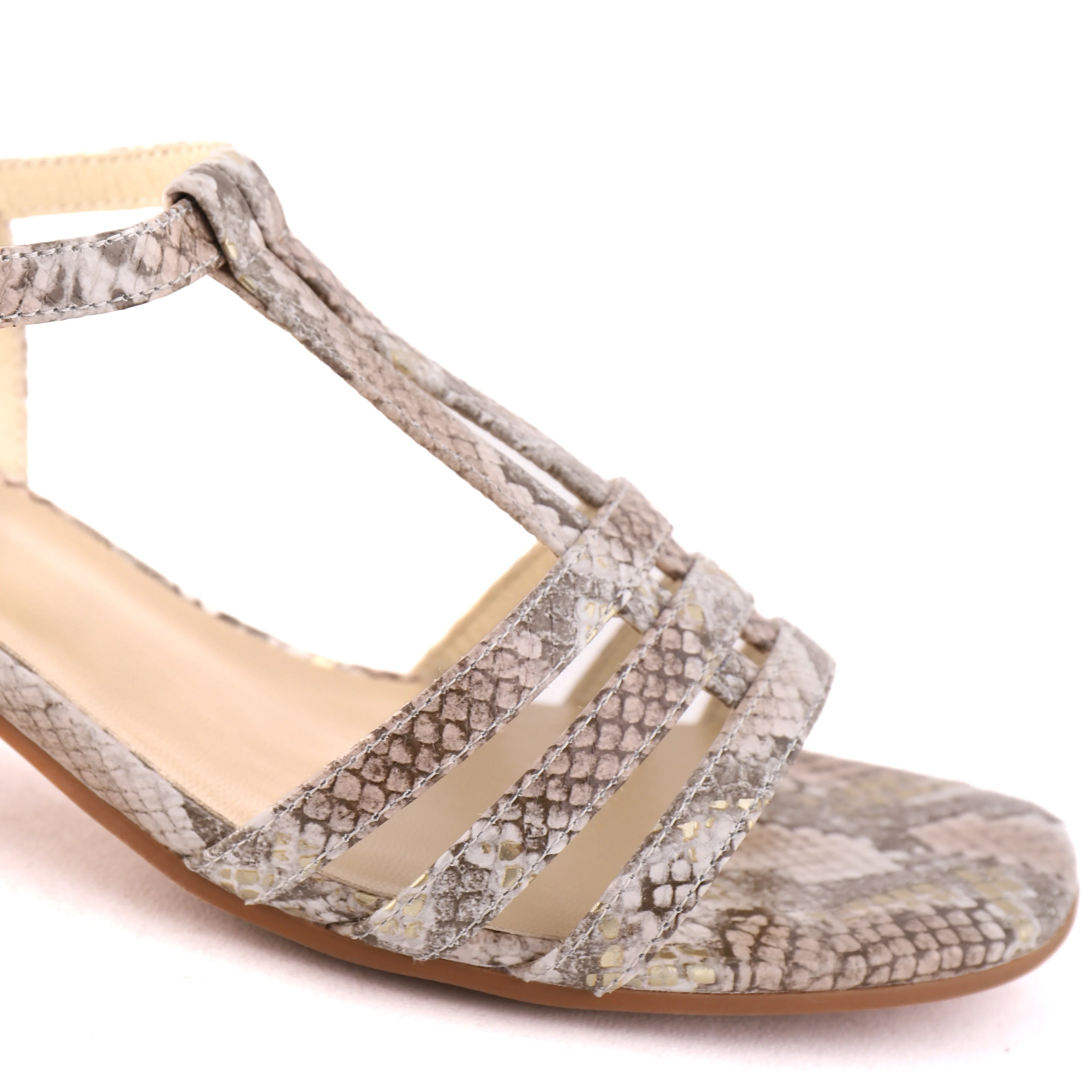 REEDYN Neutral Snake - Image 4