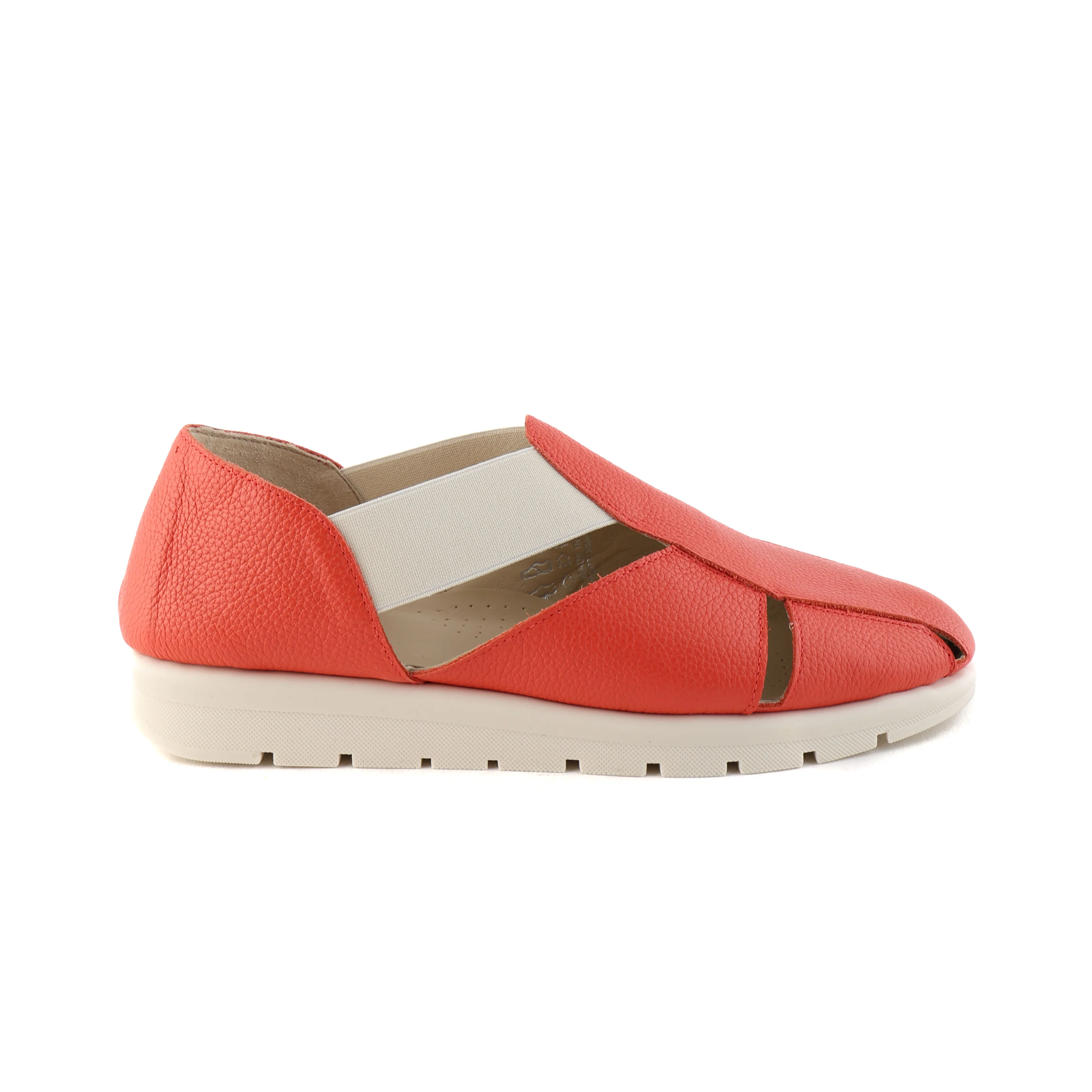 RHEA Coral