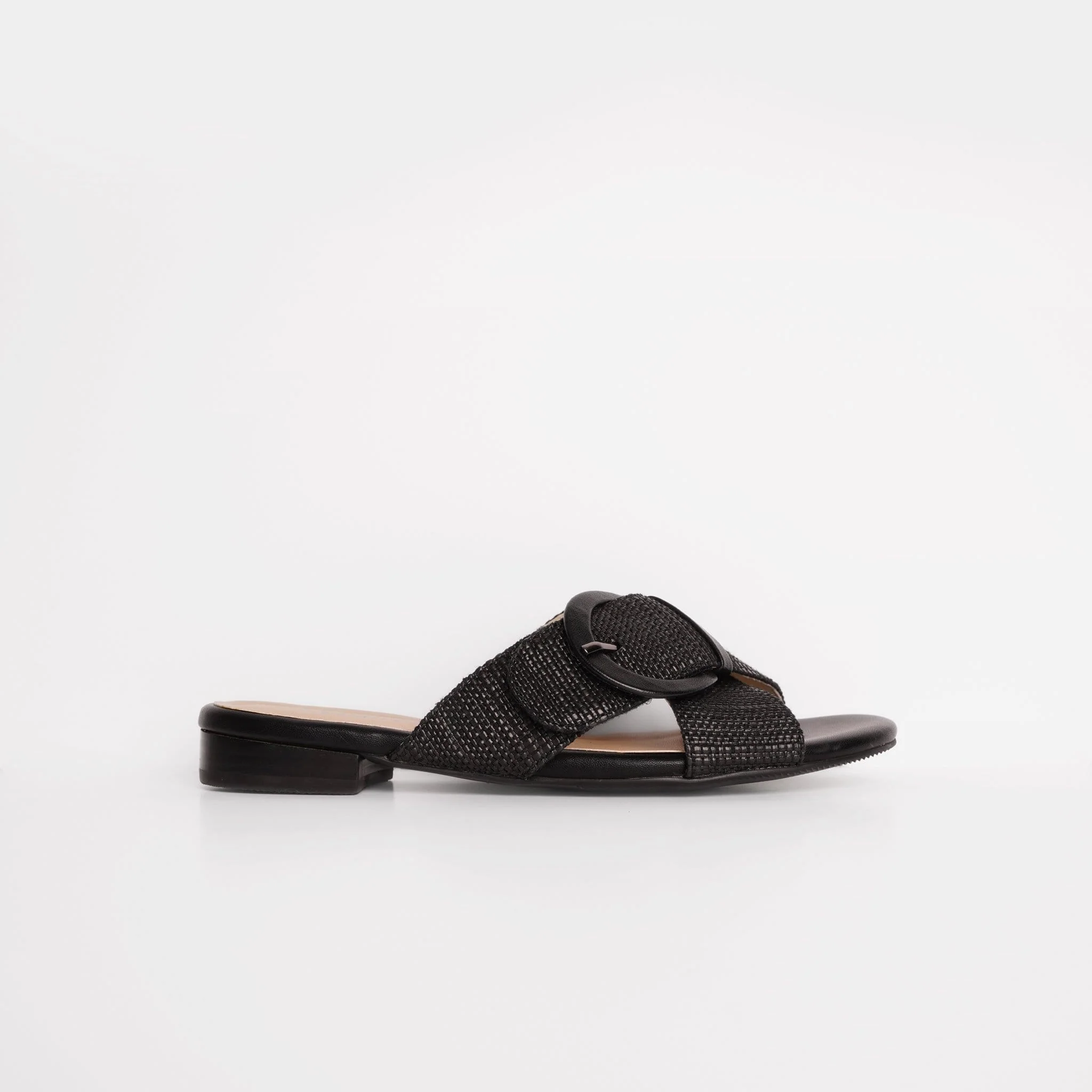 ROSA - Image 3